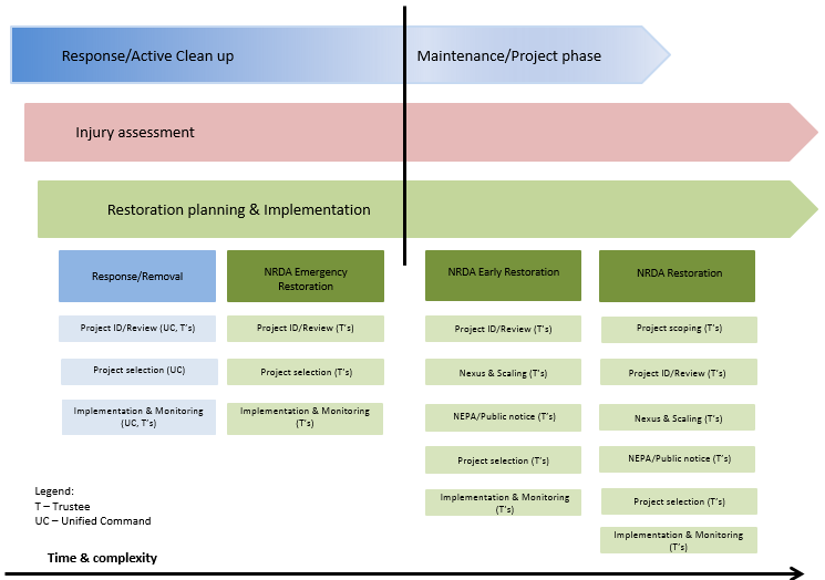 nrda-activities.png