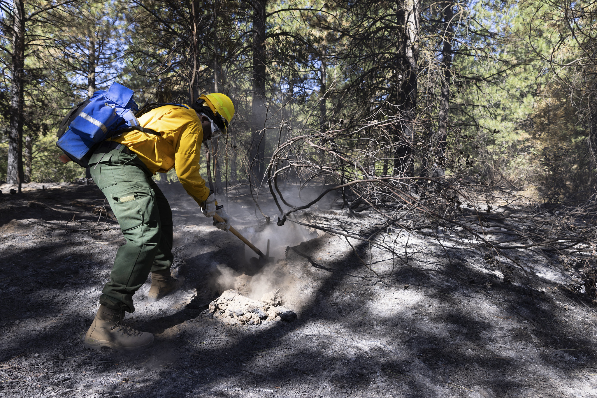 U.S. Army Firefighter Chris Grissett digs out a stump hole as he works on the Boulder Fire in Idaho. Photo by Jacob Chadwick, Bureau of Land Management-Nevada