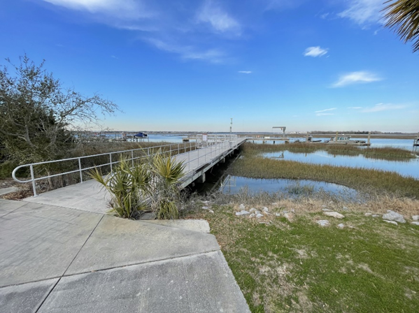 Concrete, grey dock leads to wetlands.