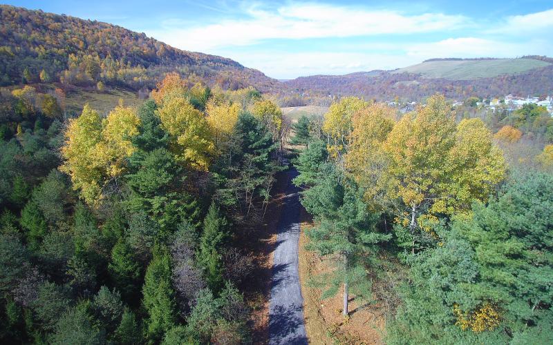 Aerial view of a road cutting through a heavily wooded area.