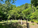 Grass covered field surrounded by trees after the demolition and removal of a deteriorated building.
