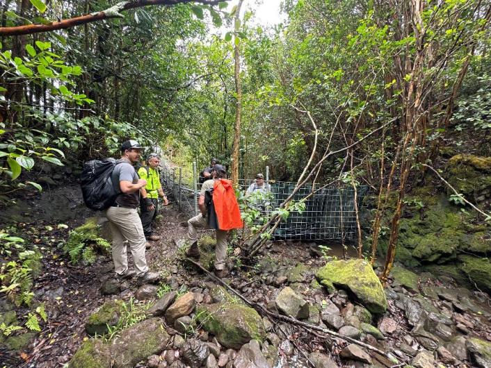 Group of people stand next to a metal fence on wet, rocky ground surrounded by trees.