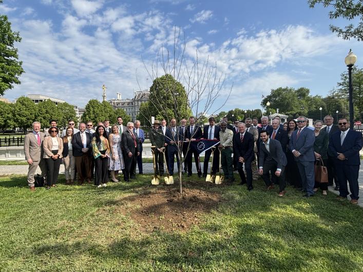 Large group of people, some holding shovels, standing in front of a freshly planted tree. 