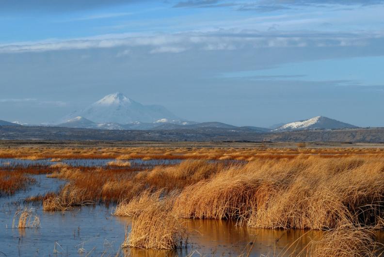 Snow-capped mountains behind a clear lake.