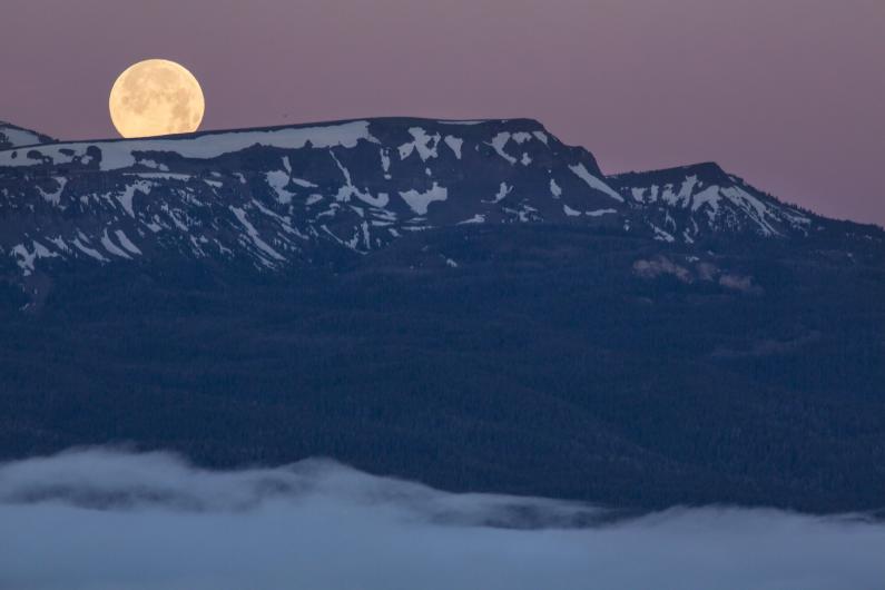 Full moon in a purple sky over the sun-covered Centennial Mountains.