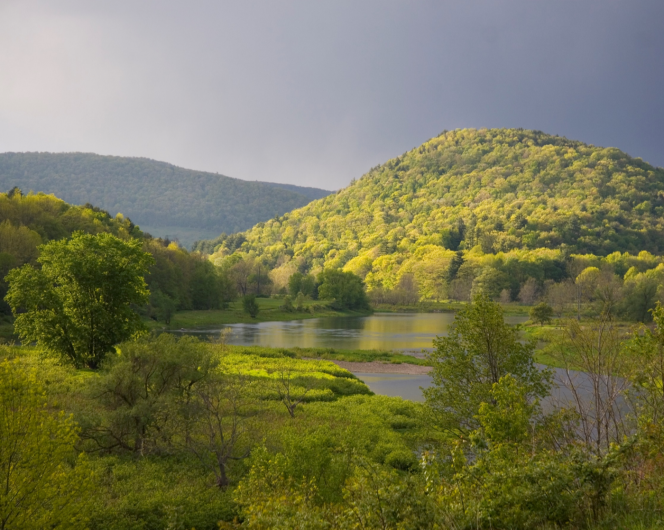 Rolling hills covered in green vegetation in a river basin.