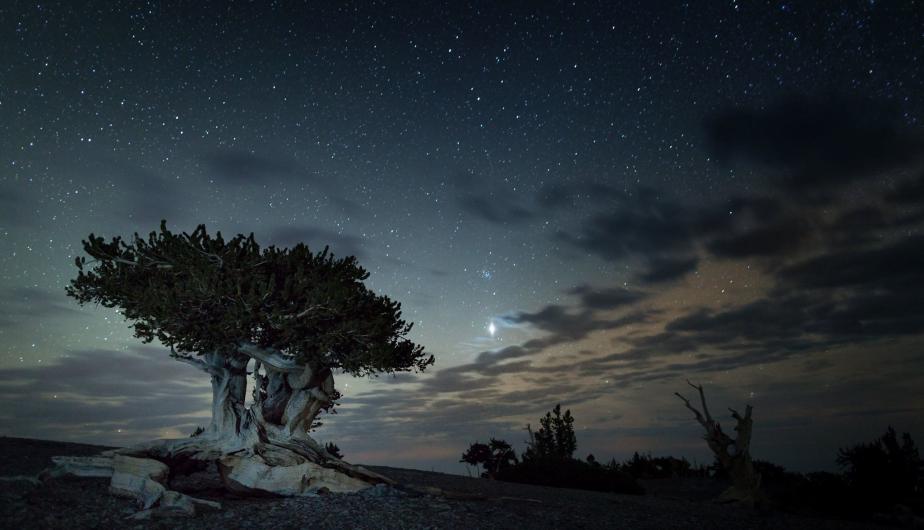 Dark, clouded skies over Great Basin National Park in Nevada.