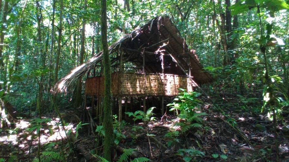 Resting house in a dense forest.