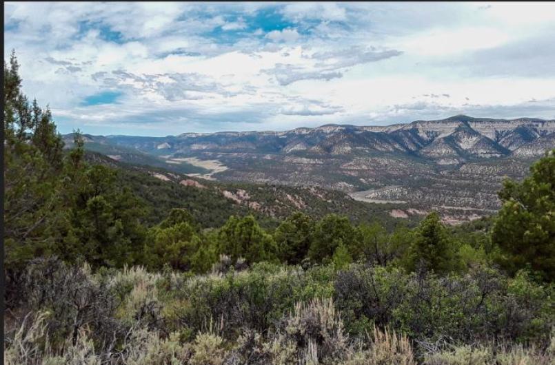 High desert landscape