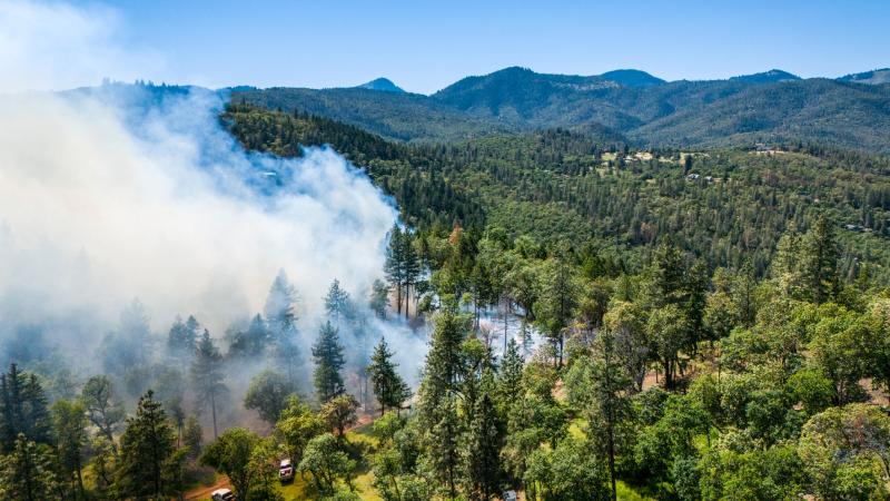 An aerial view shows a verdant forest with distant forested peaks on a cloudless, sunny day. To the right, the forest is dotted with homes and grass fields. To the left, smoke rises from the trees. Wildland fire trucks are parked alongside a dirt road that borders one side of the fire.