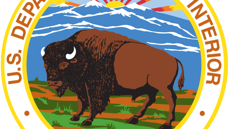 Department seal with a buffalo and the date March 3, 1849