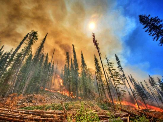 The Summit Trail Fire.