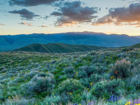 lewis-clark-national-historic-trail-bob-wick-blm-landscape-sunset_0.jpg
