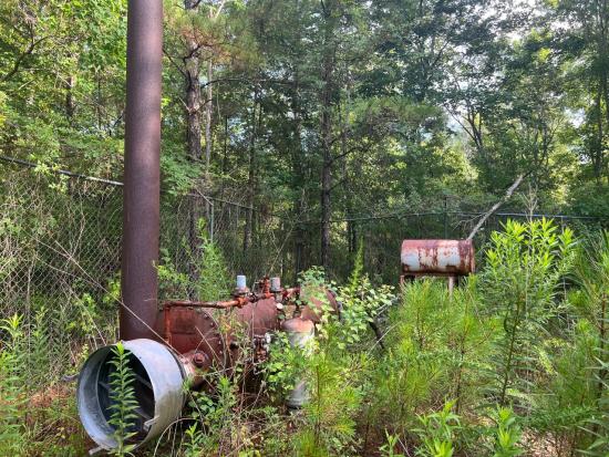 An orphaned well site with green vegetation.