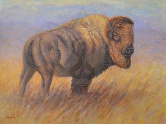 Painting of Buffalo 