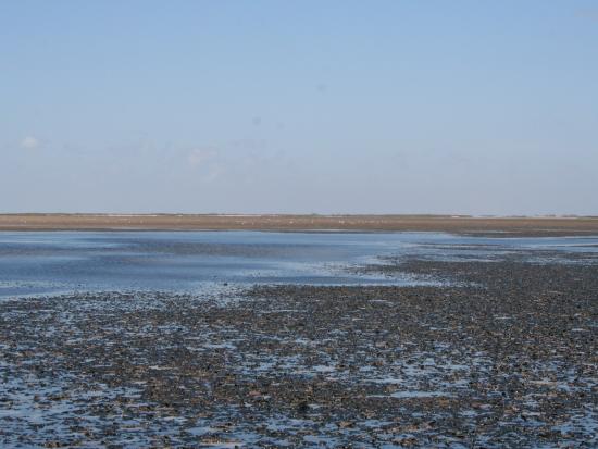 Edge of tidal area