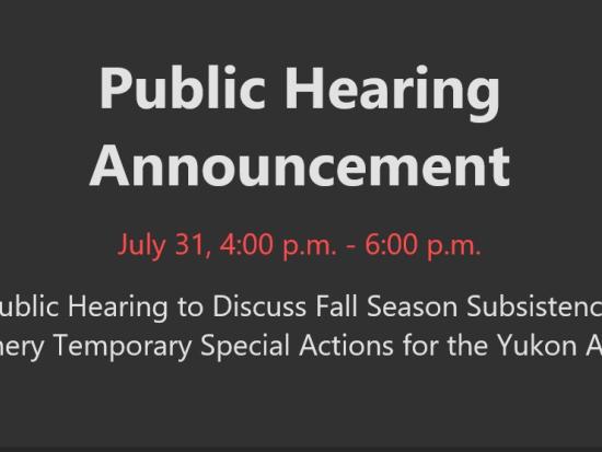 Public Hearing