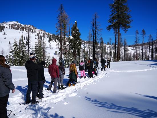 Visitors standing in line listen to a ranger talk about winter wildlife on a snowshoe program.