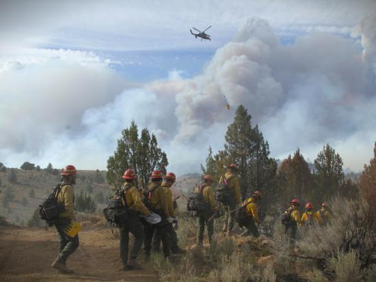 Wildland firefighters work on the Falls Fire in Oregon. Photo by Mike McMillan.