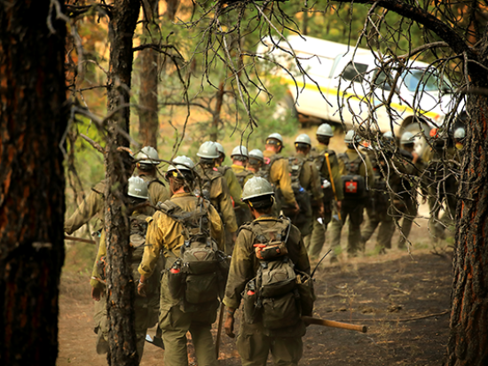 A line of wildland firefighters walks through a burned forest toward a white truck. Photo by Austin Catlin, BLM.