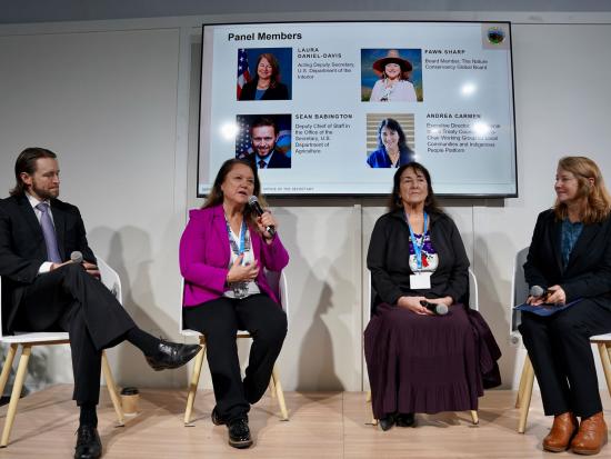 Four panelists sitting on a platform with a presentation screen behind them.