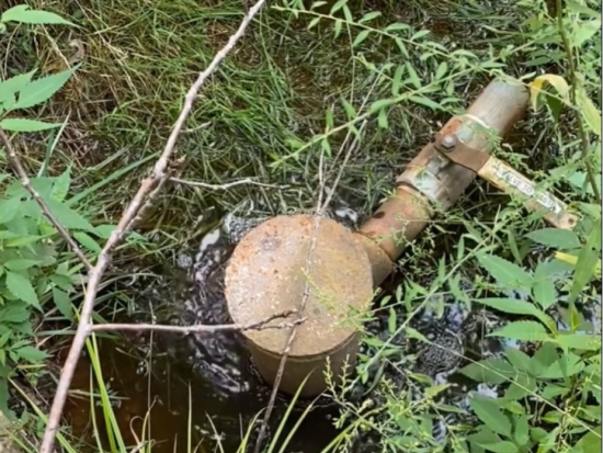 Brown orphaned well in green grass