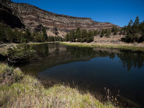 Body of water surrounded by grassy landscape. 