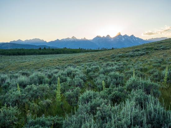 Green sweeping landscape with mountains in backdrop.