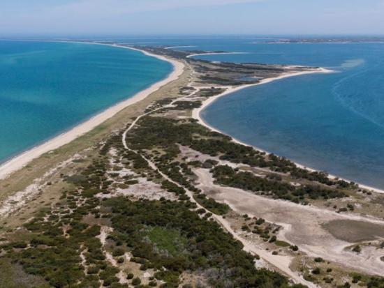 Aerial view of sandy shoreline.