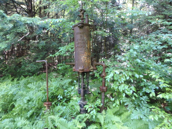 Rusted well equipment in overgrown woods.