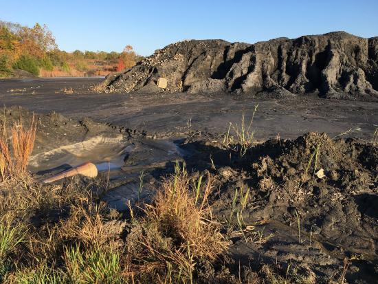 Mounds of mucky black soil.