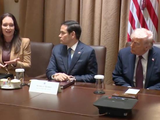 A cabinet member briefs President Trump and other cabinet members seated at a brown conference table 