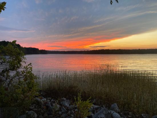 Sunset over a lake with orange clouds and reflections on water and submerged vegetation in the foreground.