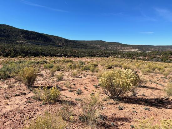 Landscape with sagebrush at the location of the Velvet-Wood Mine in Utah