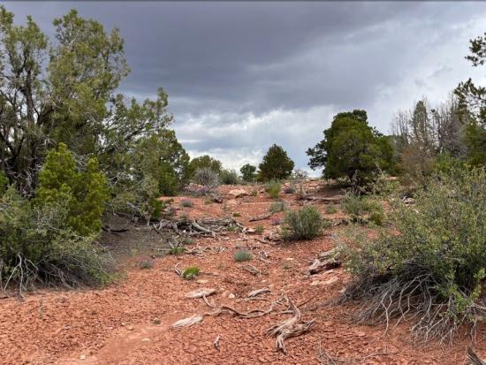 Desert landscape with dark cloudy sky. 