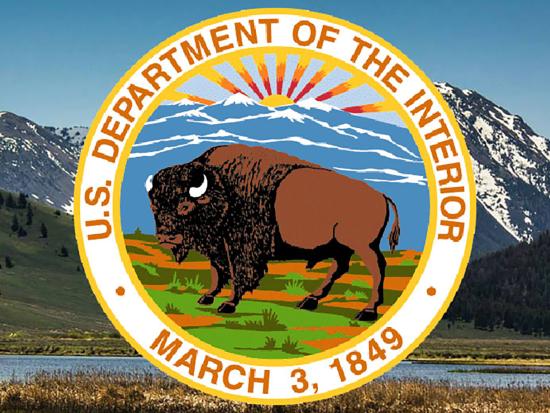 DOI Seal