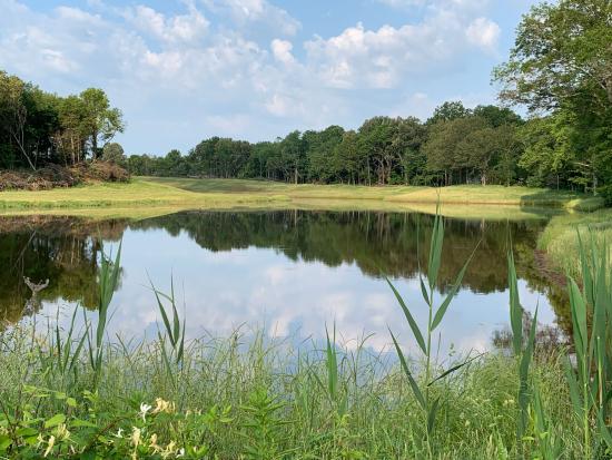 Grassy area with lake and blue cloudy sky. 
