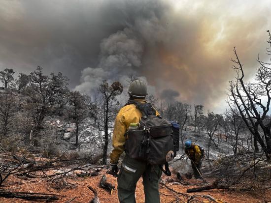 A wildland firefighter stands in front of a smoke column on a wildfire. 