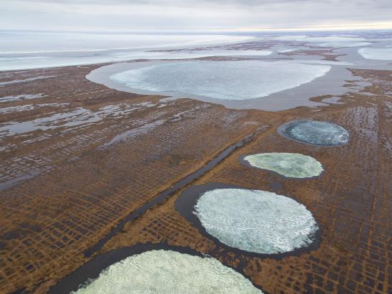 Aerial photo of the National Petroleum Reserve in Alaska