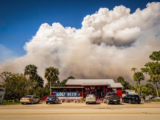 A small, vibrant red building advertises cold beer with a large blue banner. Cars fill most of the parking spaces in a row out front. Green palm trees and deciduous trees grow on either side of the building. A sign weathered past readability stands next to the parking lot. A short ways beyond the building, a large plume of wildfire smoke fills the otherwise blue sky.