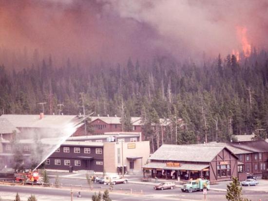 In a photo faintly tinted with age, a row of buildings and a wide street are clustered together amid a dense forest. A fire engine is spraying water over one building. A second engine dotted with firefighters is parked nearby. Dense smoke obscures the distance, and towering orange flames rise from a handful of trees.