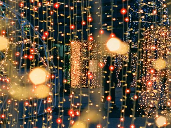 Holiday Lights