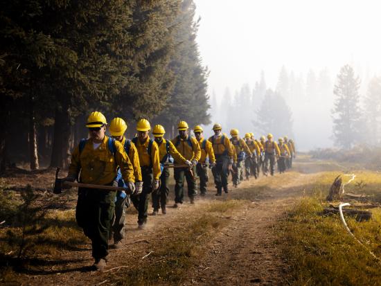 Personnel in wildland firefighter gear hike single file down a dirk track. Dense trees line one side of the track. A hose snakes along the ground on the other side. The trees in the background behind them are gradually obscured by smoke.