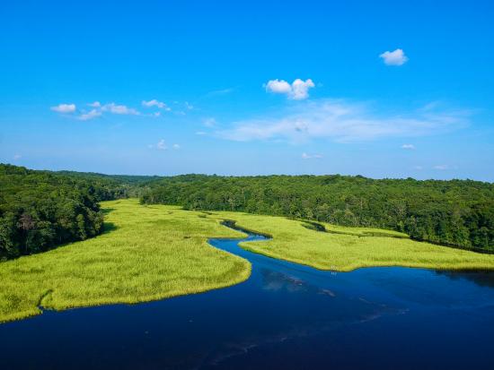 Aerial view Wetland Ecosystem. 