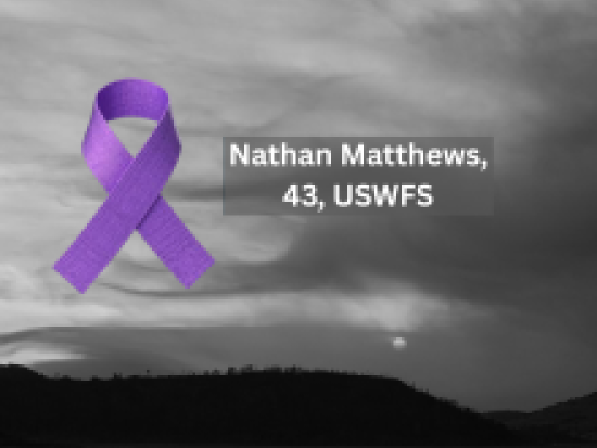 Nathan Matthews Memorial