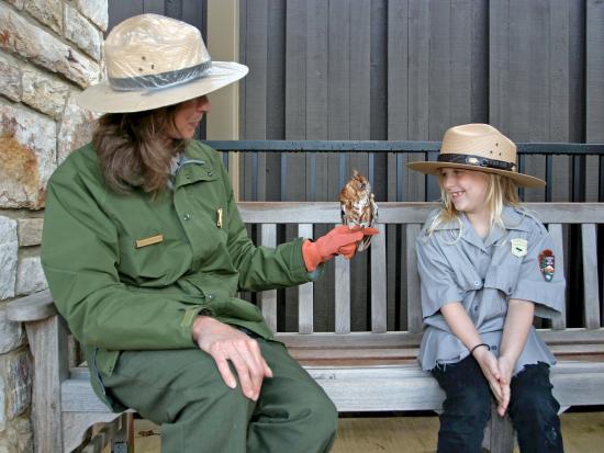 Ranger and junior ranger sitting on a bench. The ranger has an owl perched on her fingers. 