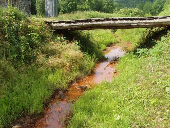 Acorn Fork Creek 