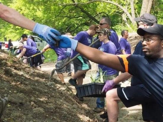 Employees and volunteers working together to plant flowers
