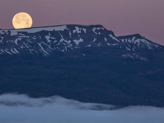 Full moon in a purple sky over the sun-covered Centennial Mountains.