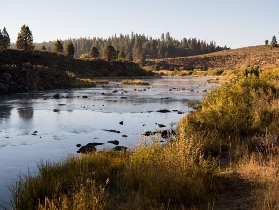 Clear creek runs through grassy valley at sunrise.